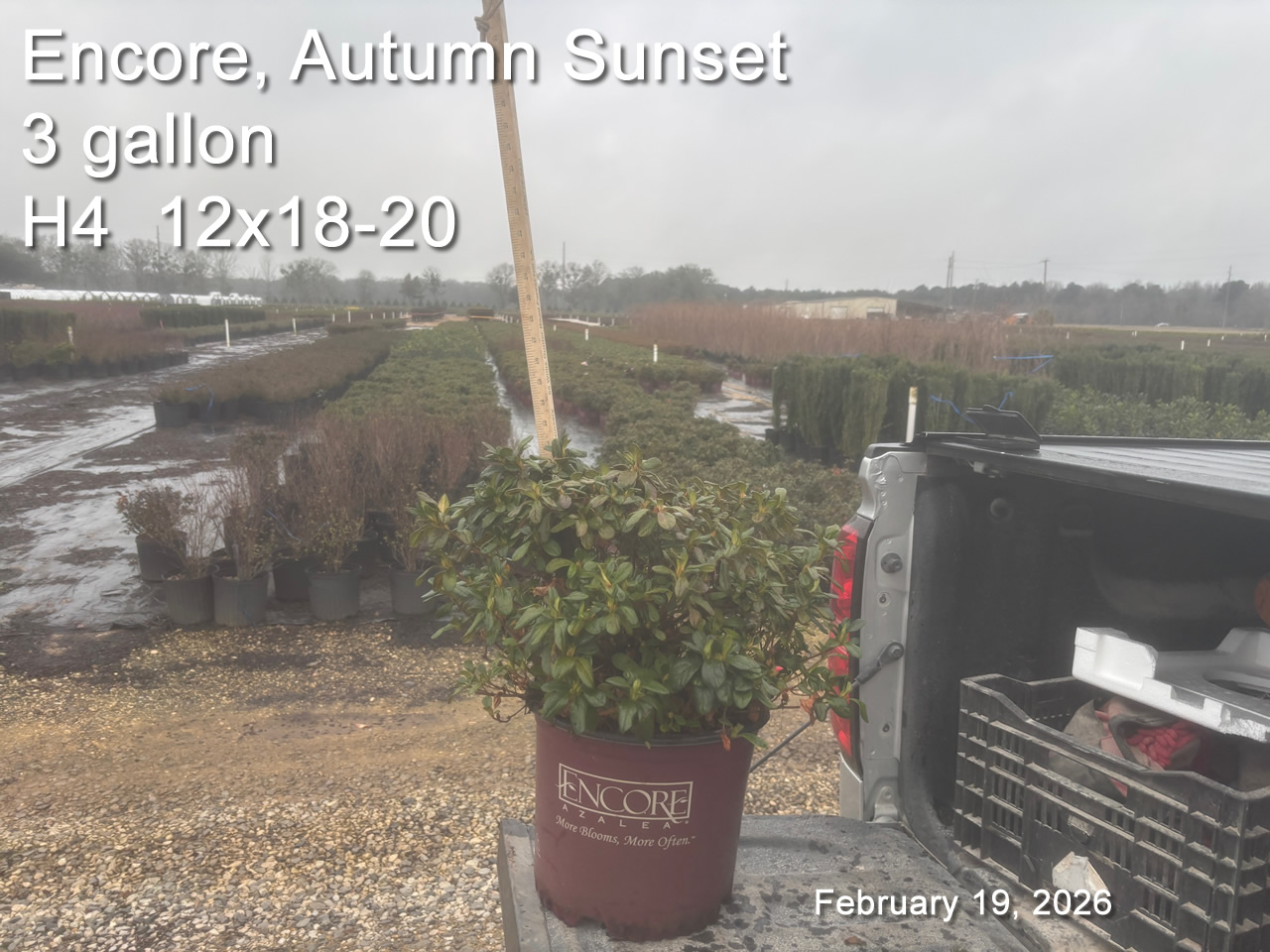 gallery/ess3 h4 feb19.jpg